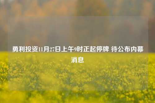 勇利投资11月27日上午9时正起停牌 待公布内幕消息