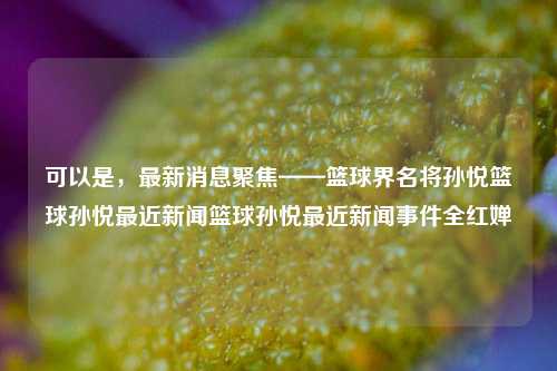 可以是，最新消息聚焦——篮球界名将孙悦篮球孙悦最近新闻篮球孙悦最近新闻事件全红婵