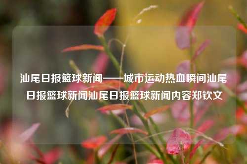 汕尾日报篮球新闻——城市运动热血瞬间汕尾日报篮球新闻汕尾日报篮球新闻内容郑钦文