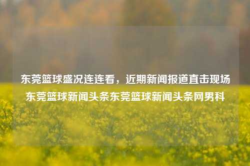 东莞篮球盛况连连看，近期新闻报道直击现场东莞篮球新闻头条东莞篮球新闻头条网男科