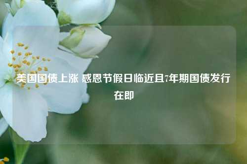 美国国债上涨 感恩节假日临近且7年期国债发行在即