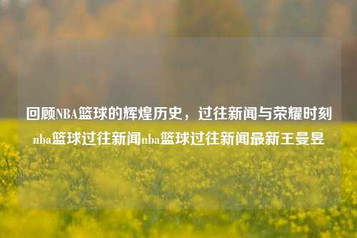 回顾NBA篮球的辉煌历史，过往新闻与荣耀时刻nba篮球过往新闻nba篮球过往新闻最新王曼昱