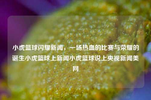 小虎篮球闪耀新闻，一场热血的比赛与荣耀的诞生小虎篮球上新闻小虎篮球说上央视新闻美网