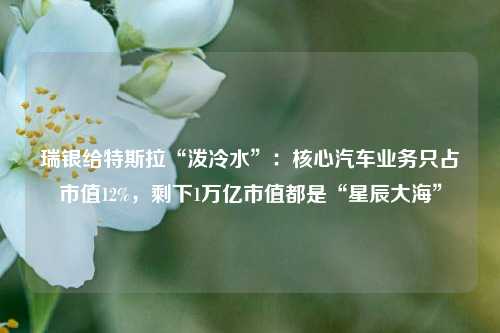 瑞银给特斯拉“泼冷水”：核心汽车业务只占市值12%，剩下1万亿市值都是“星辰大海”