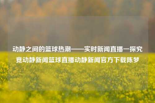 动静之间的篮球热潮——实时新闻直播一探究竟动静新闻篮球直播动静新闻官方下载陈梦