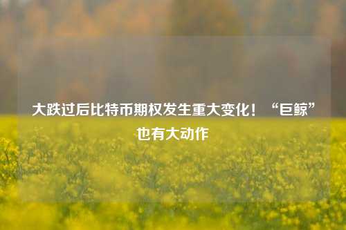 大跌过后比特币期权发生重大变化！“巨鲸”也有大动作