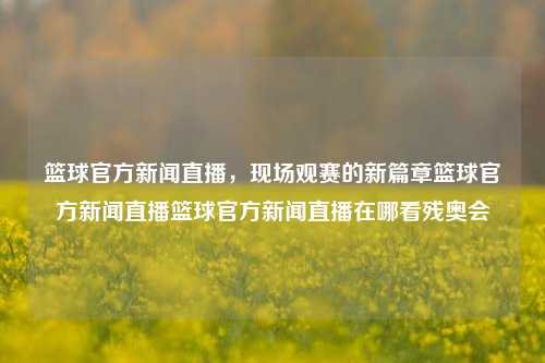 篮球官方新闻直播，现场观赛的新篇章篮球官方新闻直播篮球官方新闻直播在哪看残奥会