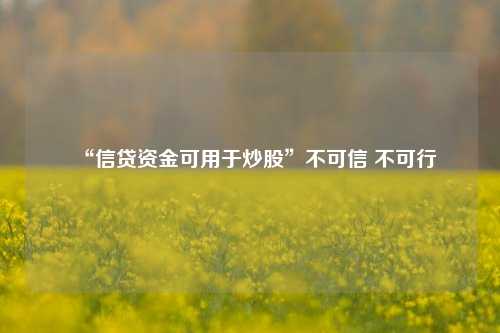 “信贷资金可用于炒股”不可信 不可行