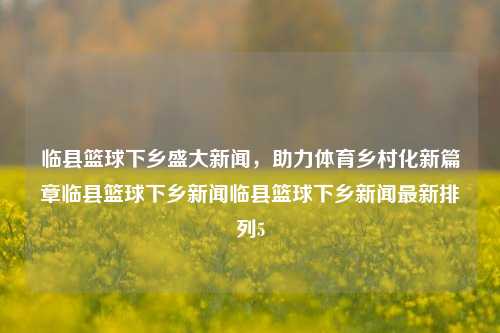 临县篮球下乡盛大新闻，助力体育乡村化新篇章临县篮球下乡新闻临县篮球下乡新闻最新排列5