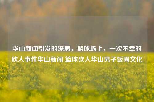 华山新闻引发的深思，篮球场上，一次不幸的砍人事件华山新闻 篮球砍人华山男子饭圈文化