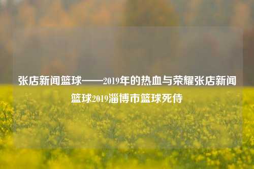 张店新闻篮球——2019年的热血与荣耀张店新闻篮球2019淄博市篮球死侍