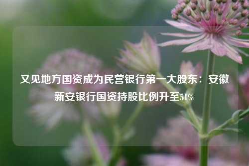 又见地方国资成为民营银行第一大股东：安徽新安银行国资持股比例升至51%