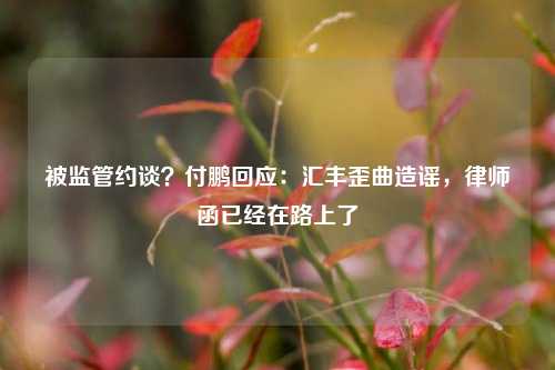 被监管约谈？付鹏回应：汇丰歪曲造谣，律师函已经在路上了