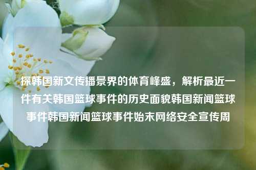 探韩国新文传播景界的体育峰盛，解析最近一件有关韩国篮球事件的历史面貌韩国新闻篮球事件韩国新闻篮球事件始末网络安全宣传周