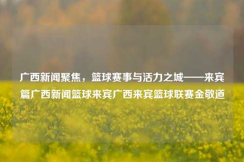 广西新闻聚焦，篮球赛事与活力之城——来宾篇广西新闻篮球来宾广西来宾篮球联赛金敬道