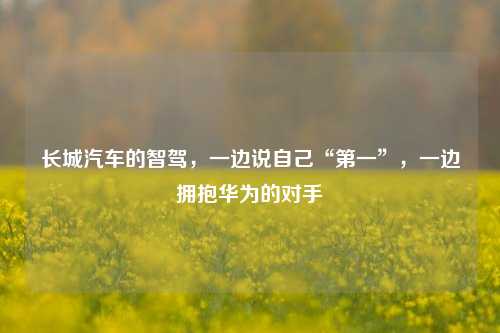 长城汽车的智驾，一边说自己“第一”，一边拥抱华为的对手