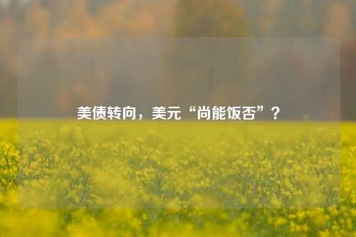 美债转向，美元“尚能饭否”？