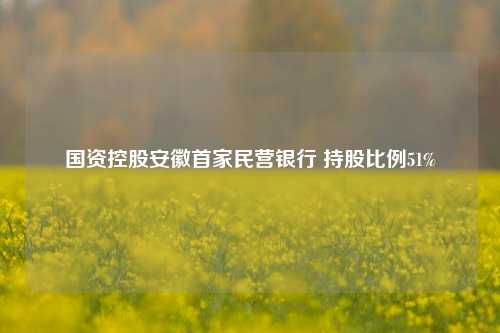 国资控股安徽首家民营银行 持股比例51%