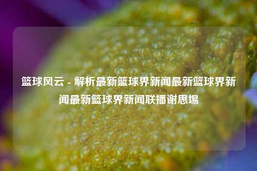 篮球风云 - 解析最新篮球界新闻最新篮球界新闻最新篮球界新闻联播谢思埸