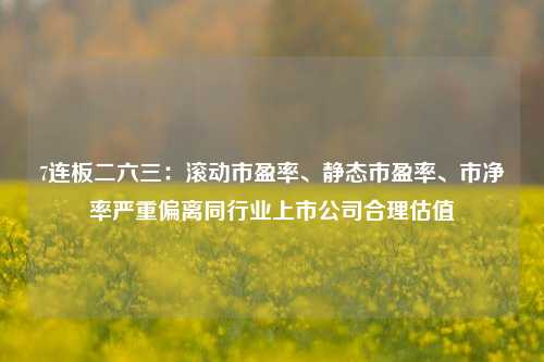 7连板二六三：滚动市盈率、静态市盈率、市净率严重偏离同行业上市公司合理估值