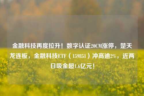 金融科技再度拉升！数字认证20CM涨停，楚天龙连板，金融科技ETF（159851）冲高逾2%，近两日吸金超1.6亿元！