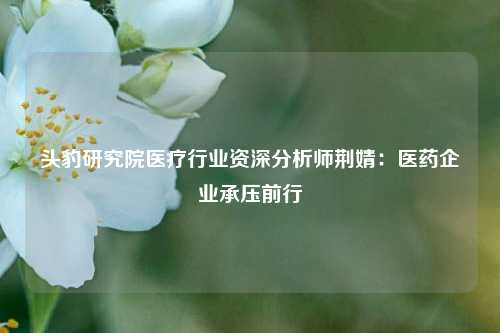 头豹研究院医疗行业资深分析师荆婧：医药企业承压前行