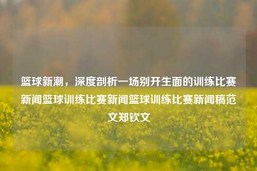 篮球新潮，深度剖析一场别开生面的训练比赛新闻篮球训练比赛新闻篮球训练比赛新闻稿范文郑钦文