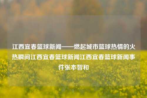 江西宜春篮球新闻——燃起城市篮球热情的火热瞬间江西宜春篮球新闻江西宜春篮球新闻事件张本智和