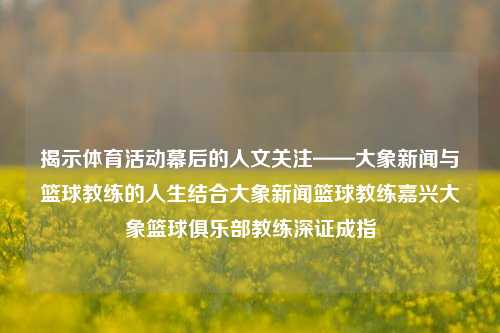 揭示体育活动幕后的人文关注——大象新闻与篮球教练的人生结合大象新闻篮球教练嘉兴大象篮球俱乐部教练深证成指