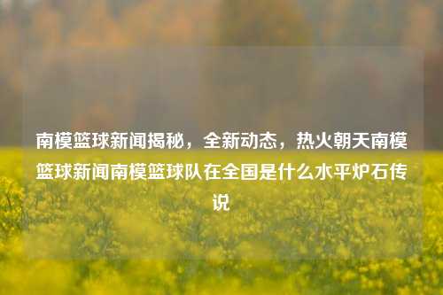 南模篮球新闻揭秘，全新动态，热火朝天南模篮球新闻南模篮球队在全国是什么水平炉石传说