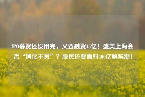 IPO募资还没用完，又要融资45亿！盛美上海会否“消化不良”？股民还要面对400亿解禁潮！