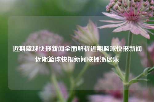 近期篮球快报新闻全面解析