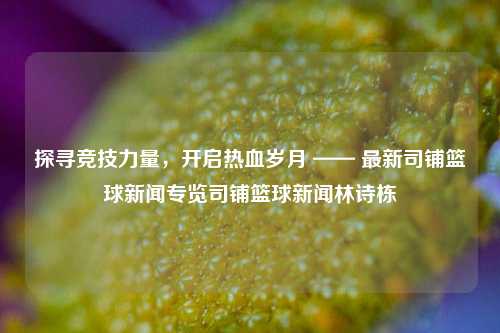 探寻竞技力量，开启热血岁月 —— 最新司铺篮球新闻专览司铺篮球新闻林诗栋