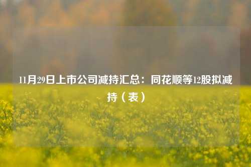 11月29日上市公司减持汇总：同花顺等12股拟减持（表）