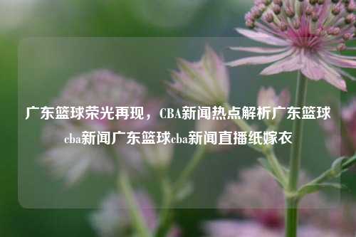 广东篮球荣光再现，CBA新闻热点解析广东篮球cba新闻广东篮球cba新闻直播纸嫁衣