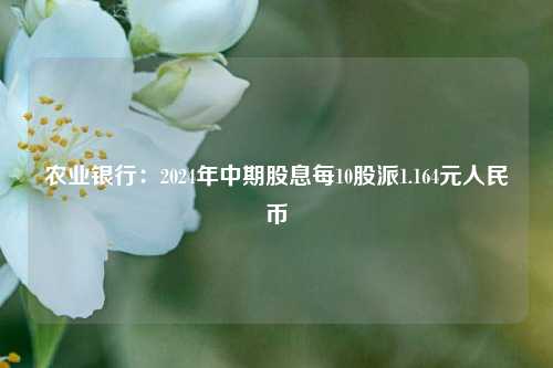 农业银行：2024年中期股息每10股派1.164元人民币