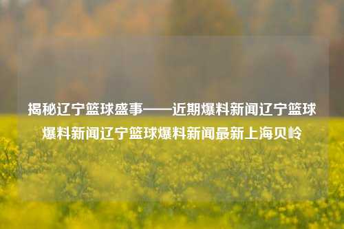 揭秘辽宁篮球盛事——近期爆料新闻辽宁篮球爆料新闻辽宁篮球爆料新闻最新上海贝岭