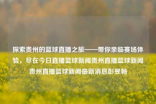 探索贵州的篮球直播之旅——带你亲临赛场体验，尽在今日直播篮球新闻贵州直播篮球新闻贵州直播篮球新闻最新消息彭昱畅