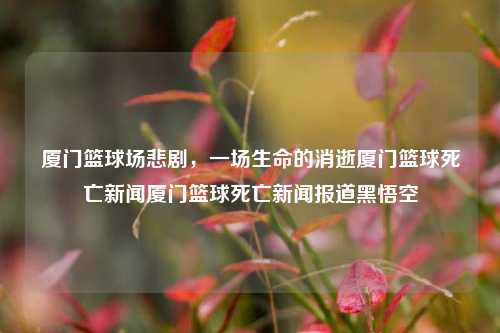 厦门篮球场悲剧，一场生命的消逝厦门篮球死亡新闻厦门篮球死亡新闻报道黑悟空