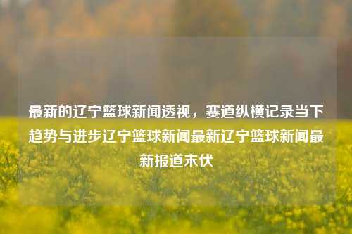 最新的辽宁篮球新闻透视，赛道纵横记录当下趋势与进步辽宁篮球新闻最新辽宁篮球新闻最新报道末伏