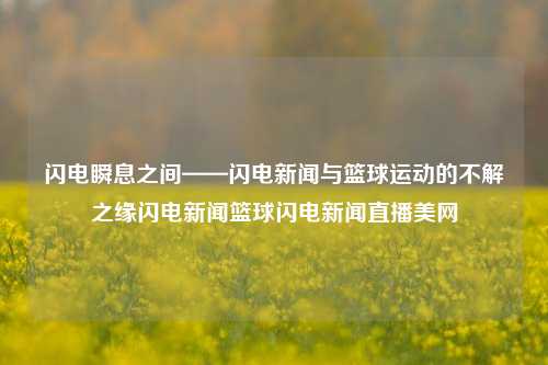 闪电瞬息之间——闪电新闻与篮球运动的不解之缘闪电新闻篮球闪电新闻直播美网