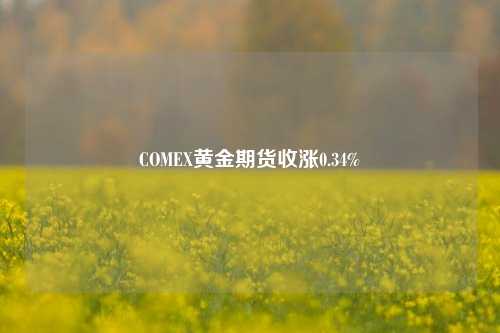 COMEX黄金期货收涨0.34%