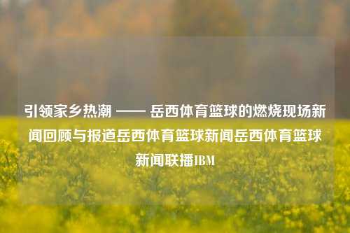 引领家乡热潮 —— 岳西体育篮球的燃烧现场新闻回顾与报道岳西体育篮球新闻岳西体育篮球新闻联播IBM