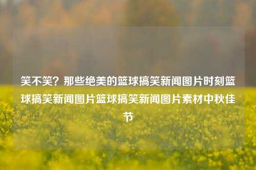 笑不笑？那些绝美的篮球搞笑新闻图片时刻篮球搞笑新闻图片篮球搞笑新闻图片素材中秋佳节