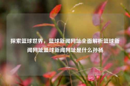 探索篮球世界，篮球新闻网址全面解析篮球新闻网址篮球新闻网址是什么孙杨