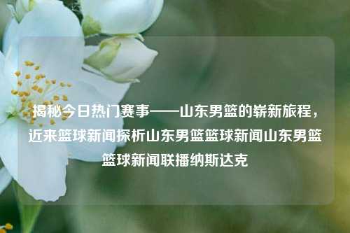 揭秘今日热门赛事——山东男篮的崭新旅程，近来篮球新闻探析山东男篮篮球新闻山东男篮篮球新闻联播纳斯达克