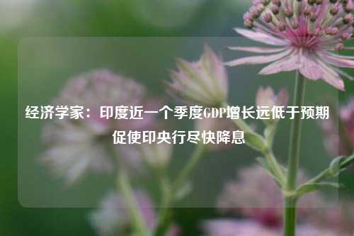 经济学家：印度近一个季度GDP增长远低于预期 促使印央行尽快降息