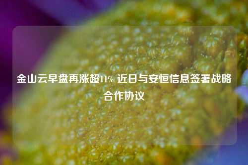 金山云早盘再涨超11% 近日与安恒信息签署战略合作协议