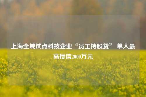 上海全域试点科技企业“员工持股贷” 单人最高授信2000万元