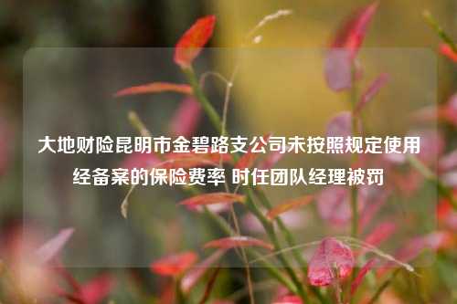 大地财险昆明市金碧路支公司未按照规定使用经备案的保险费率 时任团队经理被罚